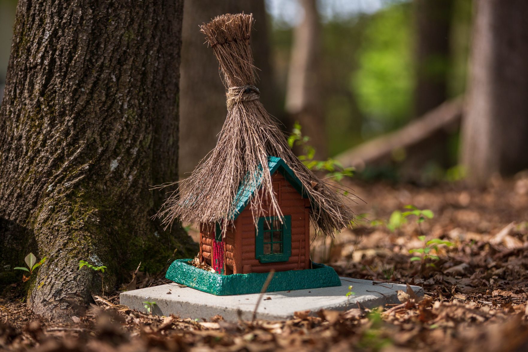 Fairy Forest 3
